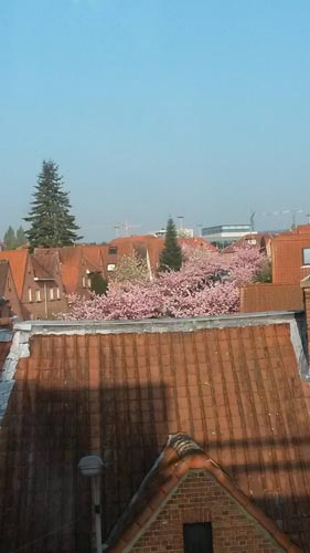 0303_03.jpg